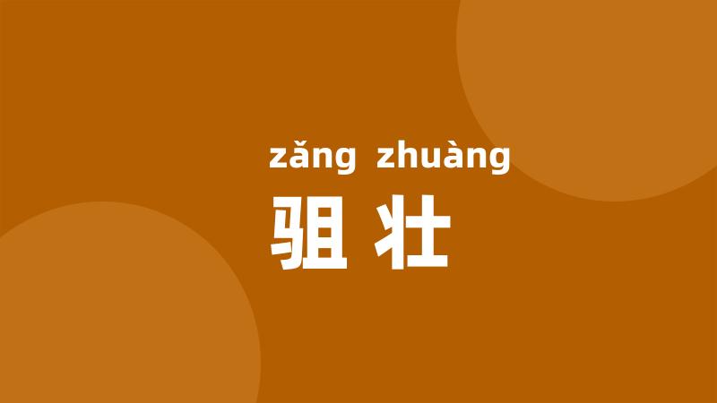 驵壮