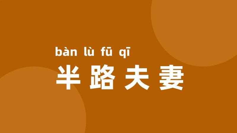 半路夫妻