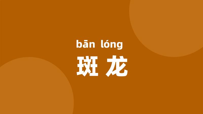 斑龙