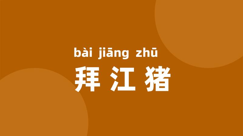 拜江猪