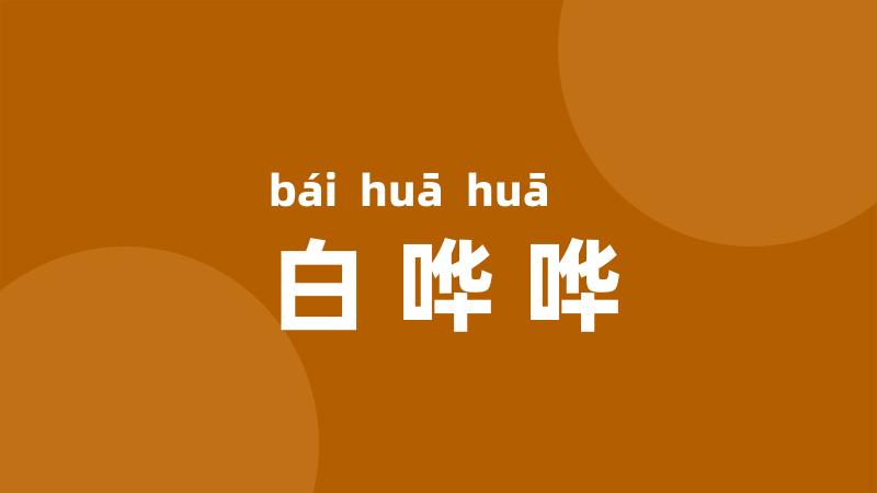 白哗哗