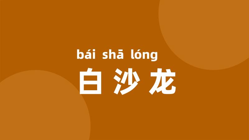 白沙龙