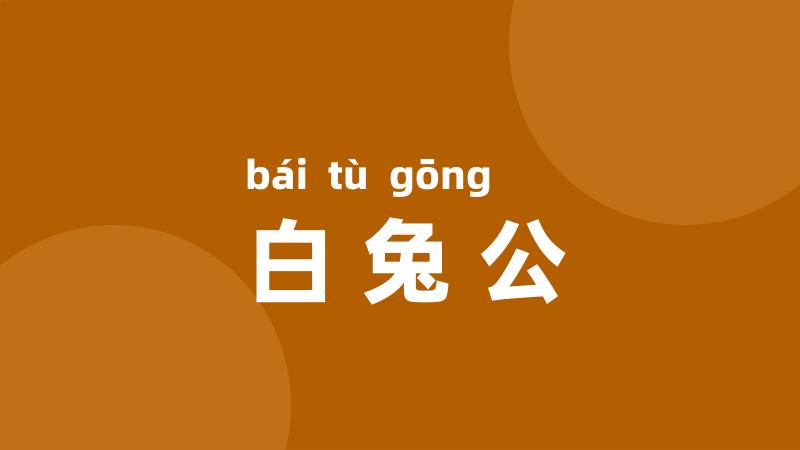 白兔公