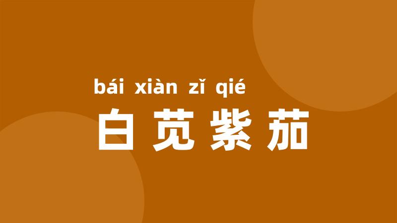 白苋紫茄