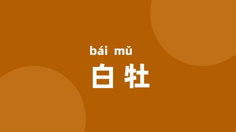 白牡