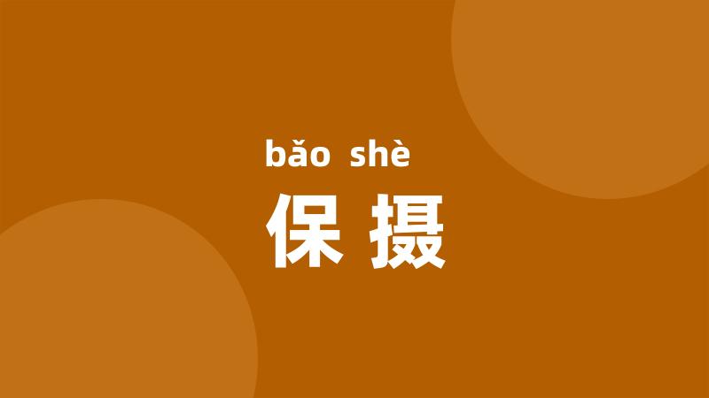 保摄
