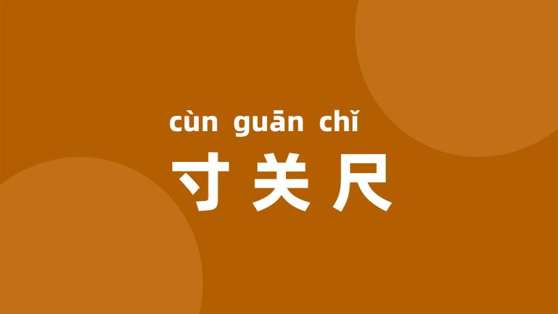 寸关尺