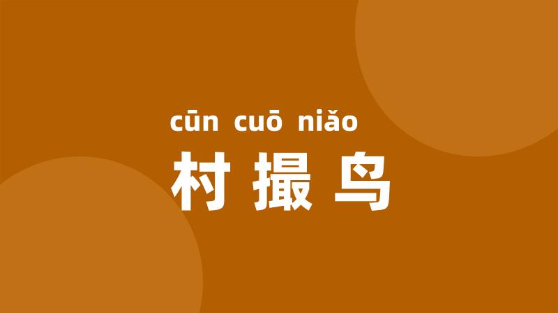 村撮鸟