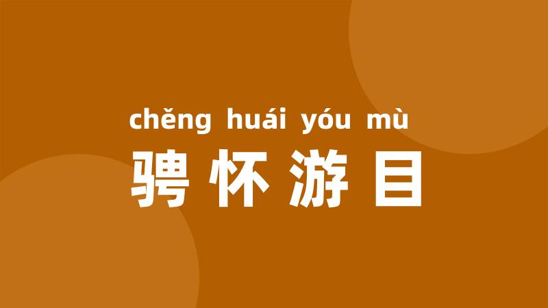 骋怀游目