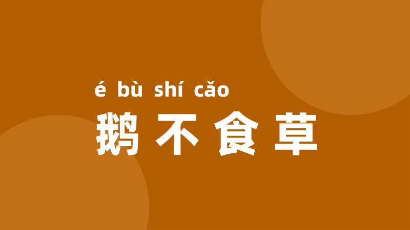 鹅不食草