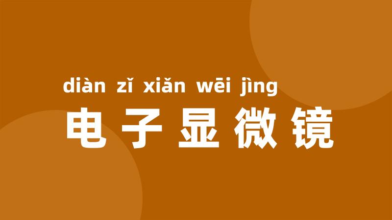 电子显微镜