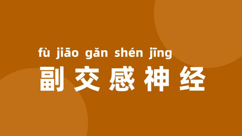 副交感神经