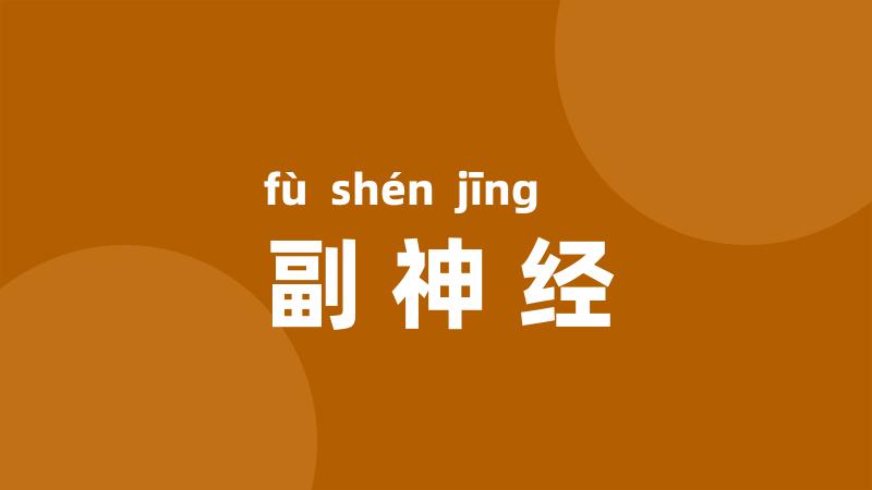 副神经