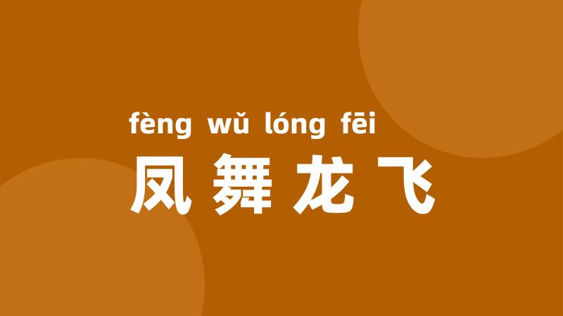 凤舞龙飞