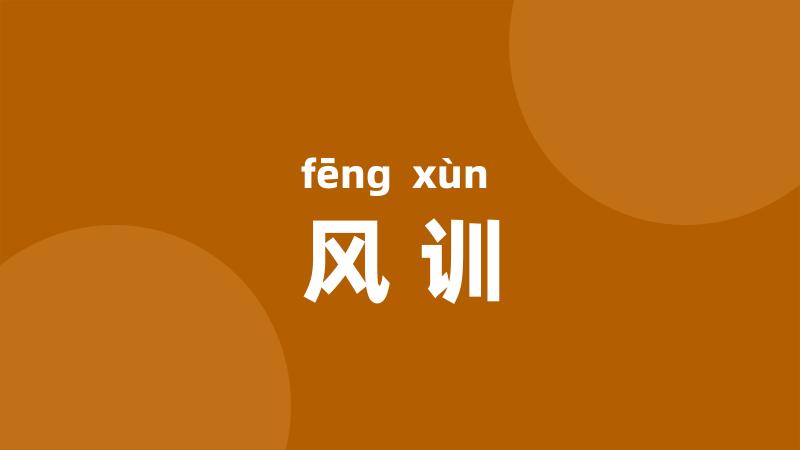 风训