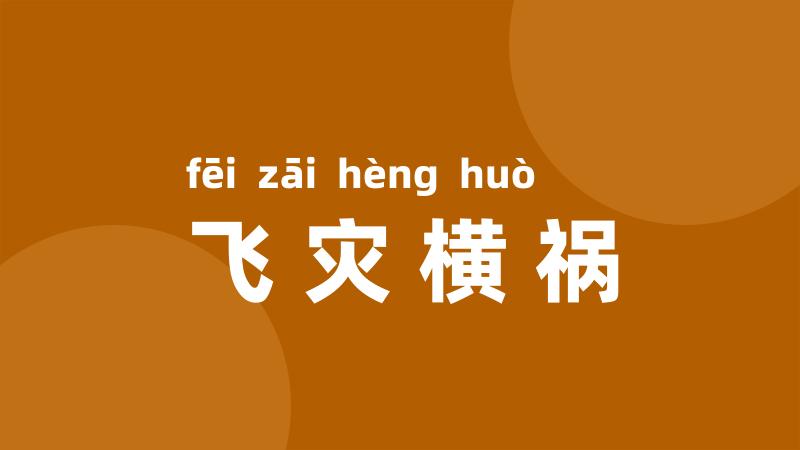 飞灾横祸