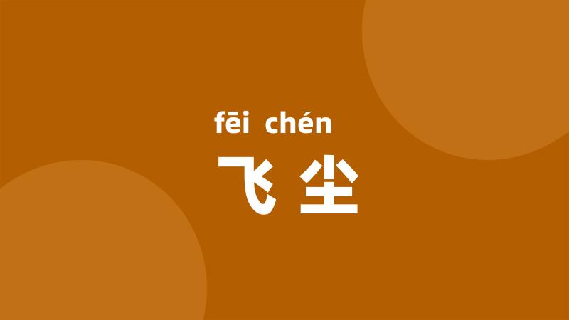 飞尘