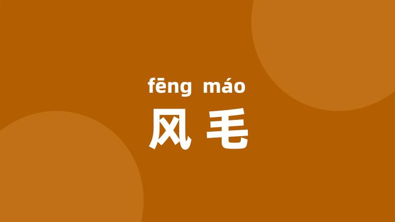 风毛