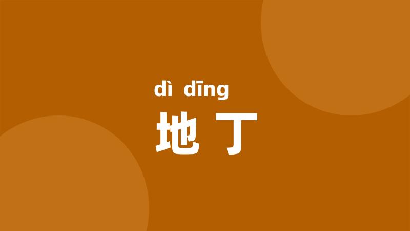地丁