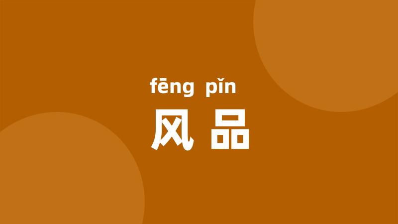 风品