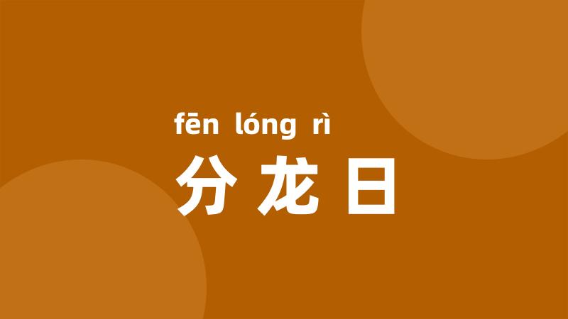 分龙日