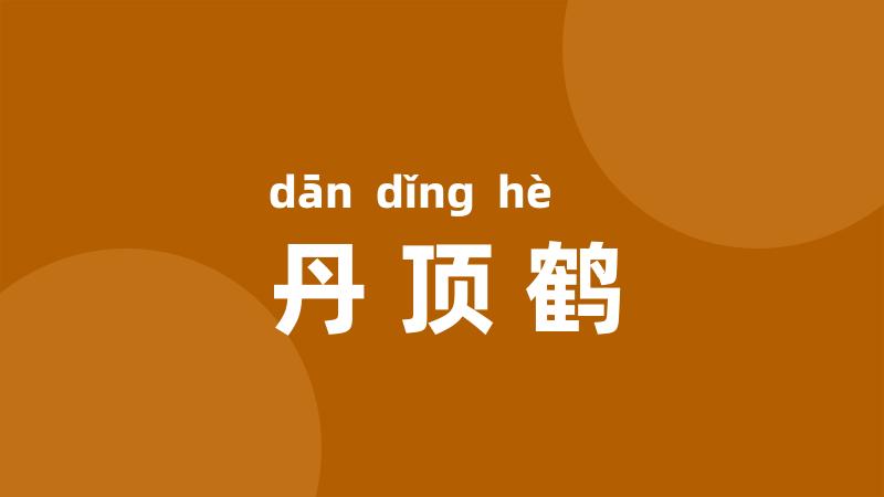 丹顶鹤
