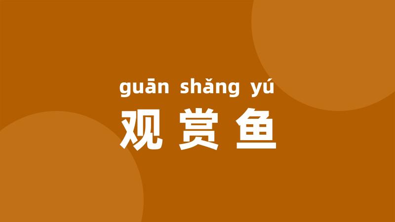 观赏鱼