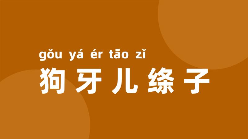 狗牙儿绦子