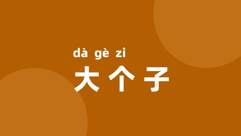 大个子