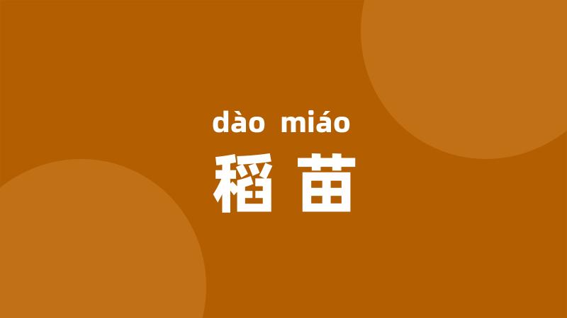 稻苗